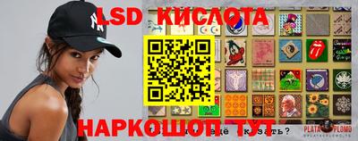крисы Кингисепп