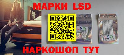 крисы Кингисепп