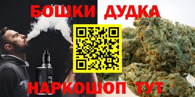 крисы Кингисепп