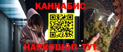 крисы Кингисепп