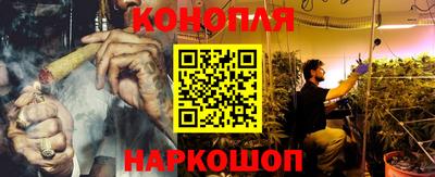 крисы Кингисепп