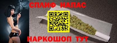 крисы Кингисепп