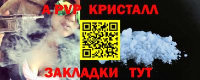 крисы Кингисепп