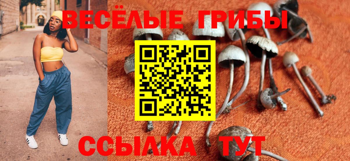 Псилоцибиновые грибы ЛСД Коммунар