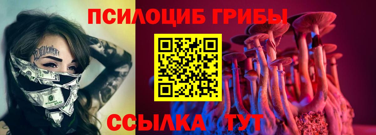 даркнет сайт  Вход с VPN  Коммунар  Псилоцибиновые грибы Psilocybine cubensis 
